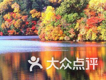 宝尊电商盘中异动 早盘大幅上涨8.00%